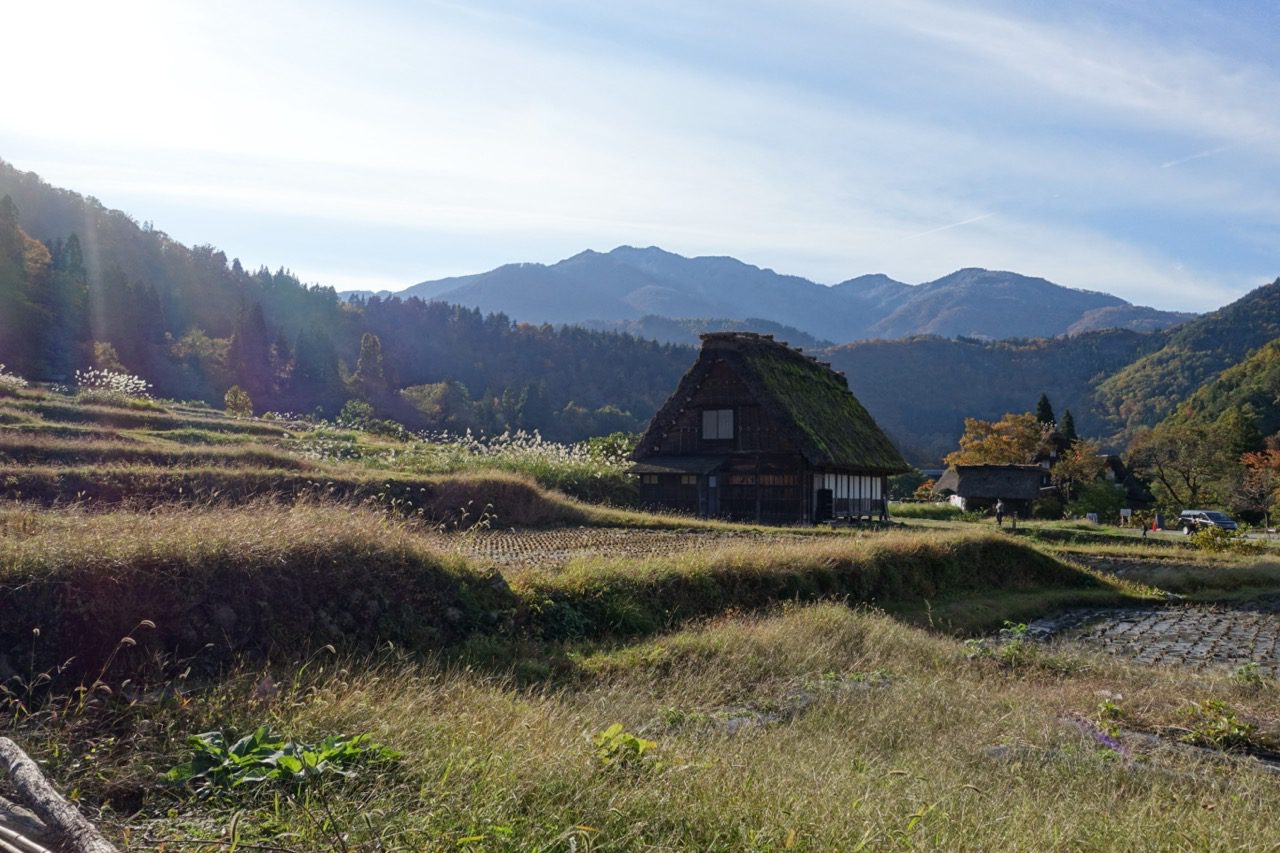Foto vom 2. November 2017