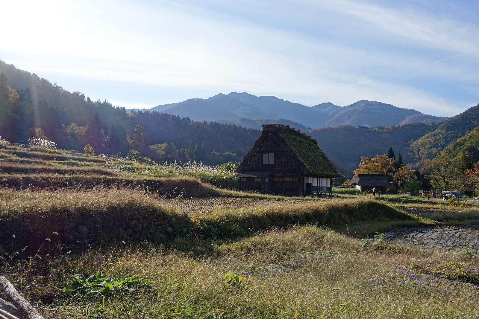 Foto vom 2. November 2017